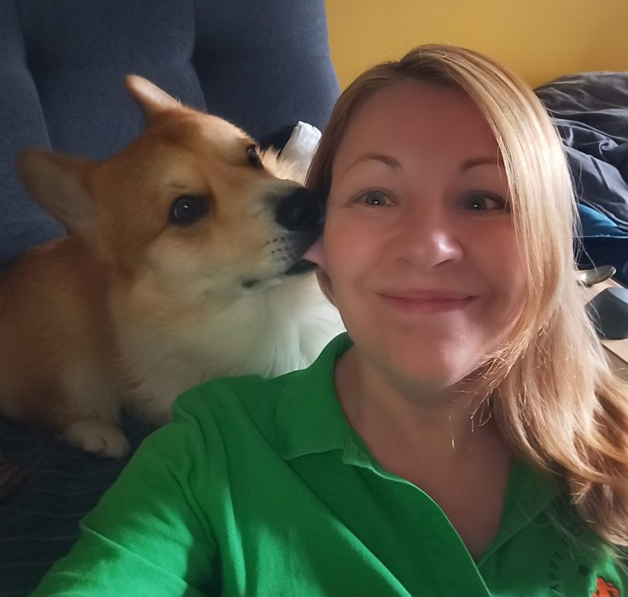 1 to 1 dog training consultation 1 to 1 consultations around Bury and Heywood